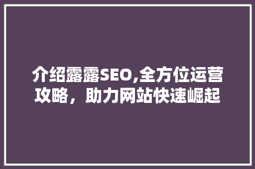 介绍露露SEO,全方位运营攻略，助力网站快速崛起