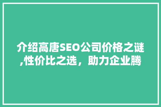 介绍高唐SEO公司价格之谜,性价比之选，助力企业腾飞