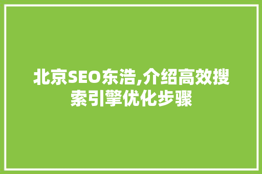 北京SEO东浩,介绍高效搜索引擎优化步骤