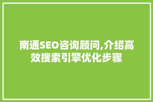 南通SEO咨询顾问,介绍高效搜索引擎优化步骤
