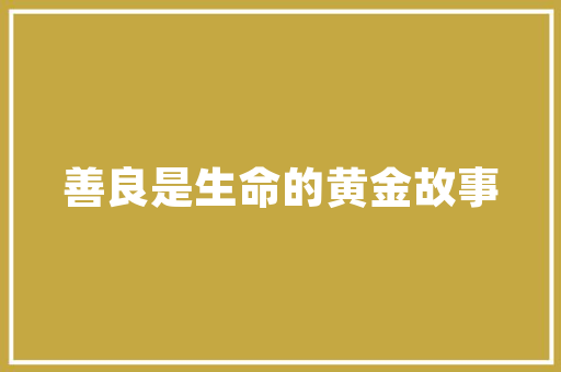 唐山网络推广SEO,助力企业腾飞的新引擎