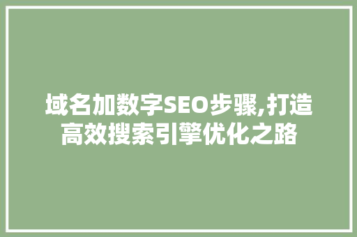 域名加数字SEO步骤,打造高效搜索引擎优化之路