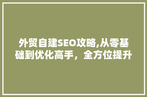 外贸自建SEO攻略,从零基础到优化高手，全方位提升网站排名