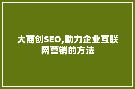 大商创SEO,助力企业互联网营销的方法