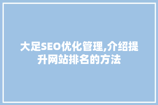 大足SEO优化管理,介绍提升网站排名的方法