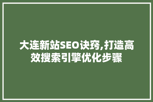 大连新站SEO诀窍,打造高效搜索引擎优化步骤