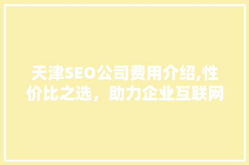 天津SEO公司费用介绍,性价比之选，助力企业互联网营销