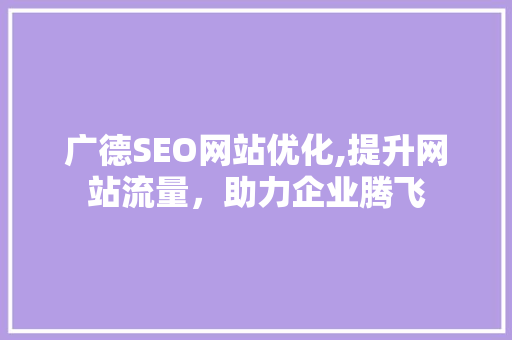 广德SEO网站优化,提升网站流量，助力企业腾飞