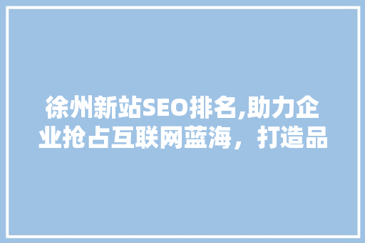 徐州新站SEO排名,助力企业抢占互联网蓝海，打造品牌新高度