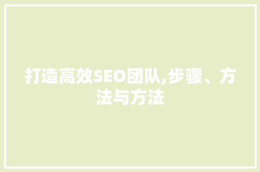 打造高效SEO团队,步骤、方法与方法