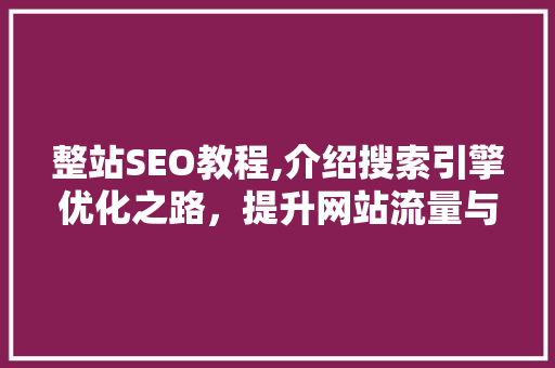 整站SEO教程,介绍搜索引擎优化之路，提升网站流量与排名