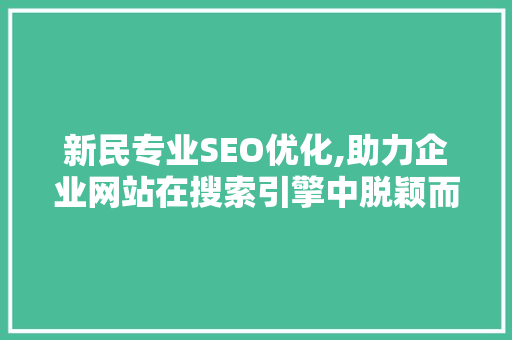 新民专业SEO优化,助力企业网站在搜索引擎中脱颖而出