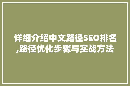详细介绍中文路径SEO排名,路径优化步骤与实战方法