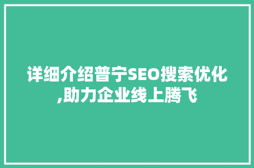 详细介绍普宁SEO搜索优化,助力企业线上腾飞