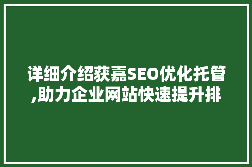详细介绍获嘉SEO优化托管,助力企业网站快速提升排名的秘密武器