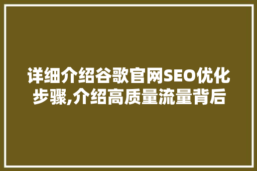 详细介绍谷歌官网SEO优化步骤,介绍高质量流量背后的秘密