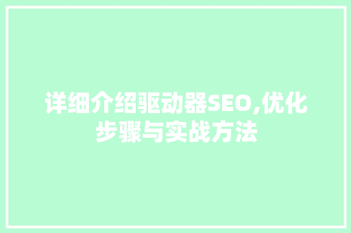 详细介绍驱动器SEO,优化步骤与实战方法