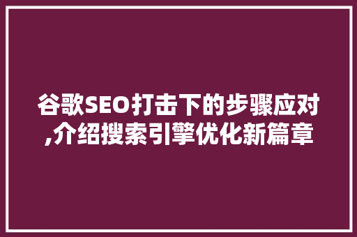 谷歌SEO打击下的步骤应对,介绍搜索引擎优化新篇章