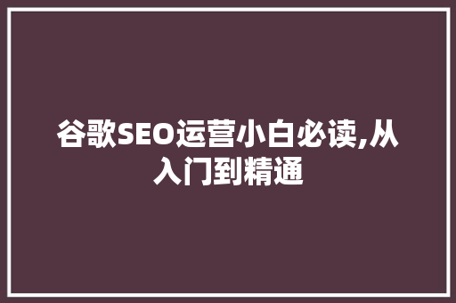 谷歌SEO运营小白必读,从入门到精通