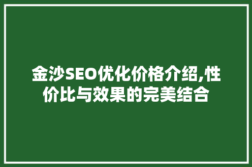 金沙SEO优化价格介绍,性价比与效果的完美结合