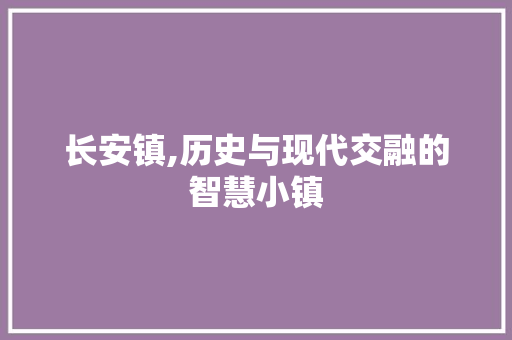 长安镇,历史与现代交融的智慧小镇