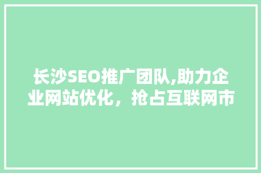 长沙SEO推广团队,助力企业网站优化，抢占互联网市场先机