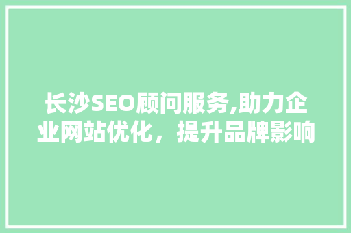 长沙SEO顾问服务,助力企业网站优化，提升品牌影响力