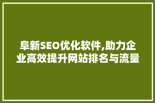 阜新SEO优化软件,助力企业高效提升网站排名与流量