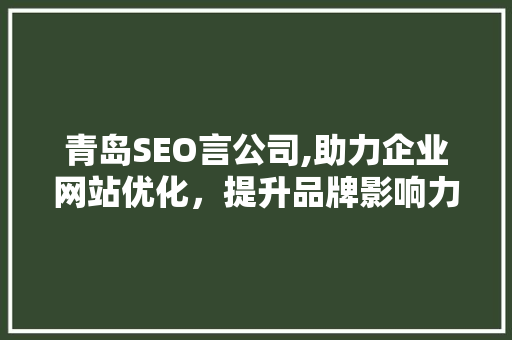 青岛SEO言公司,助力企业网站优化，提升品牌影响力