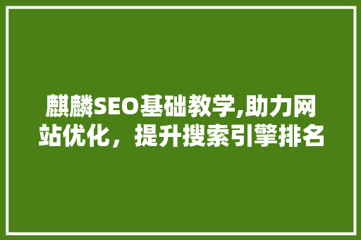 麒麟SEO基础教学,助力网站优化，提升搜索引擎排名