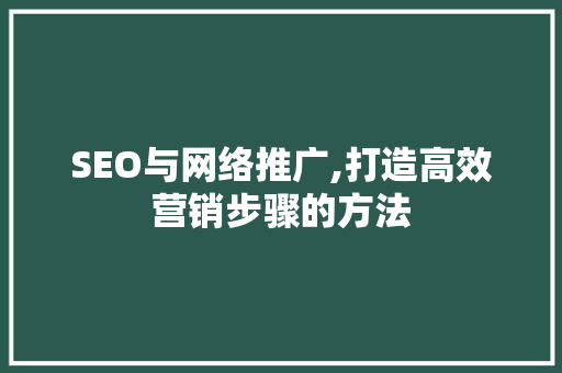 SEO与网络推广,打造高效营销步骤的方法