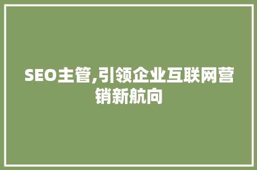SEO主管,引领企业互联网营销新航向