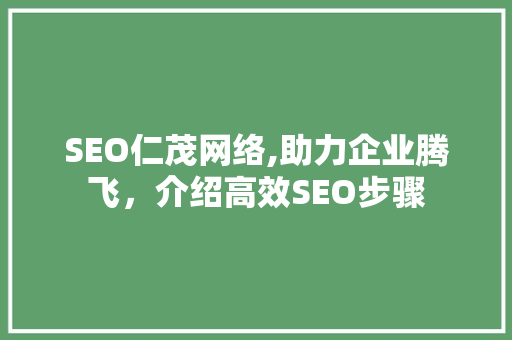 SEO仁茂网络,助力企业腾飞，介绍高效SEO步骤