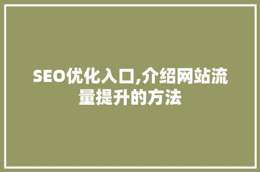 SEO优化入口,介绍网站流量提升的方法