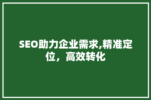 SEO助力企业需求,精准定位，高效转化