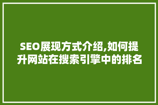 SEO展现方式介绍,如何提升网站在搜索引擎中的排名