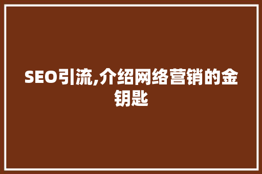 SEO引流,介绍网络营销的金钥匙