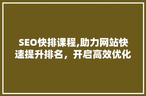 SEO快排课程,助力网站快速提升排名，开启高效优化之路