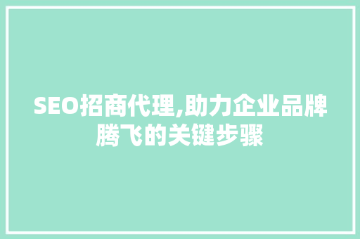 SEO招商代理,助力企业品牌腾飞的关键步骤