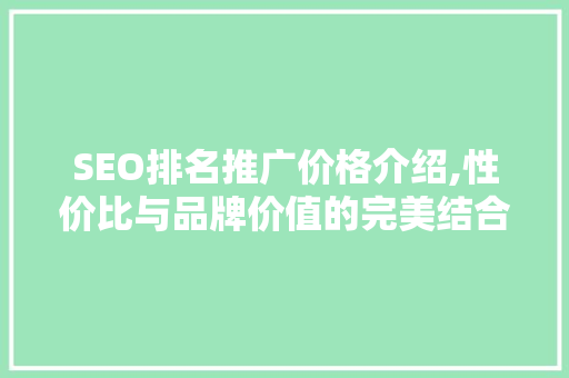 SEO排名推广价格介绍,性价比与品牌价值的完美结合