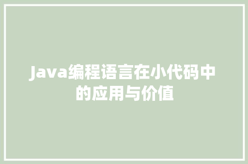 Java编程语言在小代码中的应用与价值
