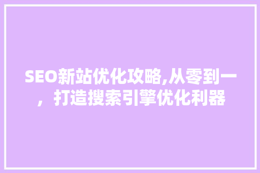SEO新站优化攻略,从零到一，打造搜索引擎优化利器