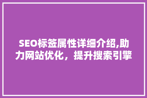 SEO标签属性详细介绍,助力网站优化，提升搜索引擎排名