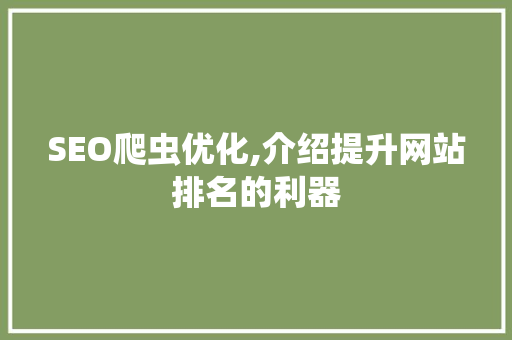 SEO爬虫优化,介绍提升网站排名的利器