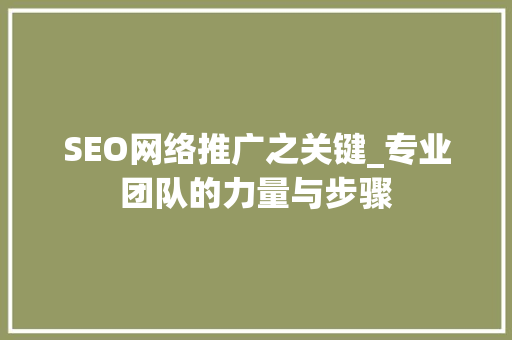 SEO网络推广之关键_专业团队的力量与步骤