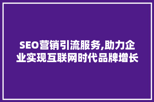 SEO营销引流服务,助力企业实现互联网时代品牌增长新路径