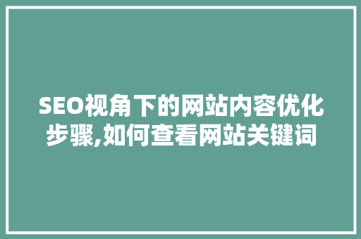 SEO视角下的网站内容优化步骤,如何查看网站关键词布局