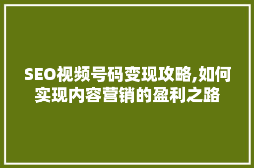 SEO视频号码变现攻略,如何实现内容营销的盈利之路