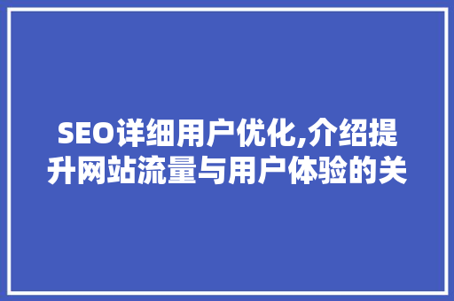 SEO详细用户优化,介绍提升网站流量与用户体验的关键步骤