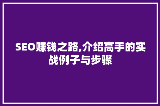 SEO赚钱之路,介绍高手的实战例子与步骤